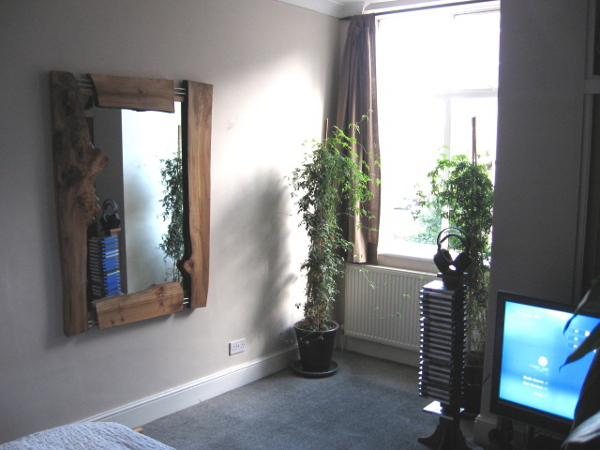 Sycamore & stainless steel mirror